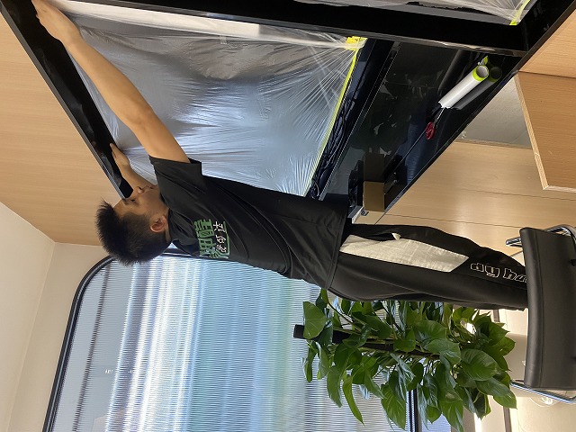 绿植除甲醛只是心理安慰？别指望几盆植物解决新房污染
